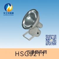 HSG9211/NTC9211ˮmͶ