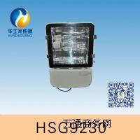 HSG9230 / NTC9230 高效中功率投光燈