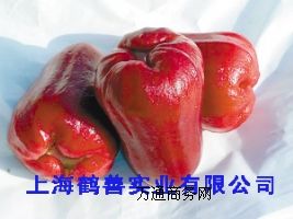 (yu)|(zh)ʳƷ(j) L-O