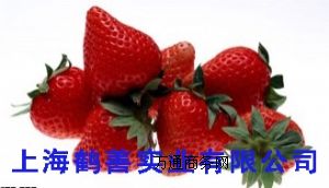 (yu)|(zh)ʳƷᲴ𮐶