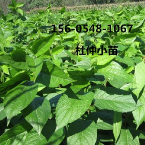 l(f)2345ֶXһ