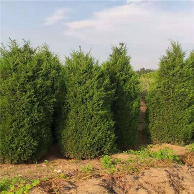 1ס2~2~l(f)؛3~r