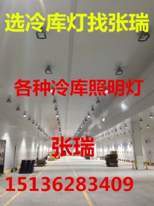 24v쑪