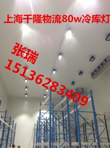 ledʳƷS췽20w
