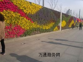 ƌW(xu)wGǰֱGO(sh)Ӌ(j)Gʩ