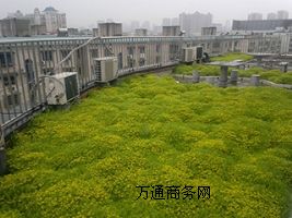 픻@e_G픾G