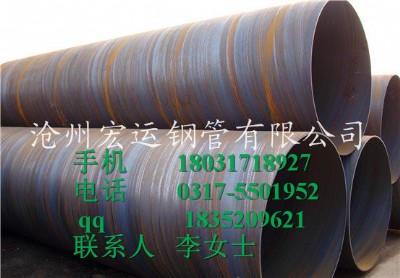 ӱ䓹܏Sɶǘ(bio)