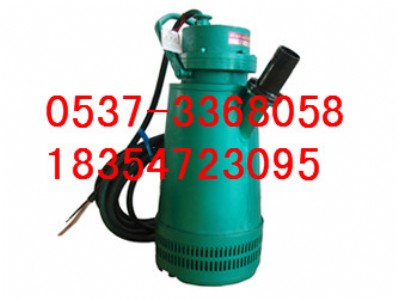 BQS15/30潛污泵批發(fā)價(jià)格 BQS礦用潛水泵廠家