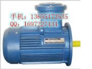 YBK2-250M-6늙C(j)F(xin)؛/ɽ늙C(j)