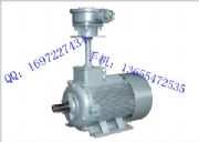YBF3-355M1-4SL(fng)C(j)늄әC(j)/L(fng)C(j)늄әC(j)