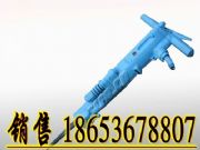 (j)RB87C(dng)C(j)(D)