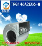 ̩JL(fng)C(j)̖trg146a2e06-w