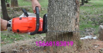 䏏SֱN