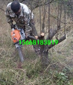 ʽݙC(j) ě_ֳʽݙC(j)