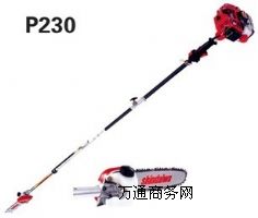 P230֦(ձ)