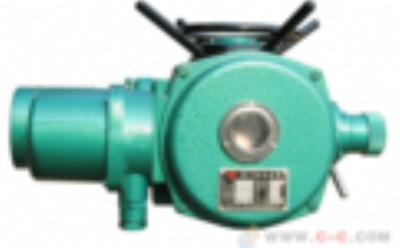 (yng)(h) (zh) dzw10-24  dzw15-24