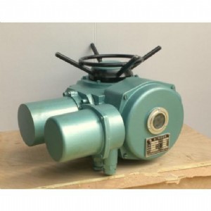 (yng) (zh) dzw20-24