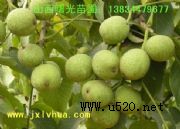 8518磬(yu)|޽Ӻ(D)