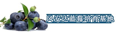 xrg{ݮl(f)Nֲ߮a(chn)ǉ