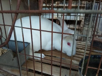 ䷽ô