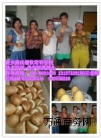 ϶_˹z^ڱõӖ(xn)W(xu)Уļ