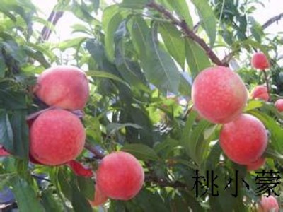 ڵu_СһҰٳԲ