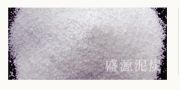 Vݴ猣(zhun)r |猣(zhun)̿