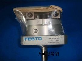 (yng)festoo͚