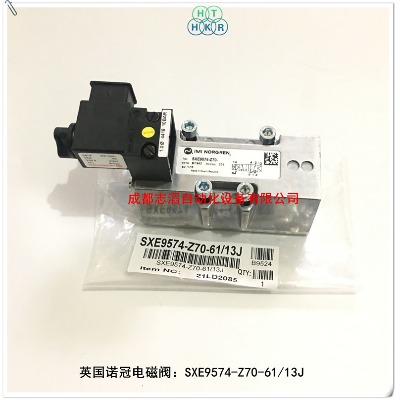 sxe9574-z70-61/13jӢZ늴y