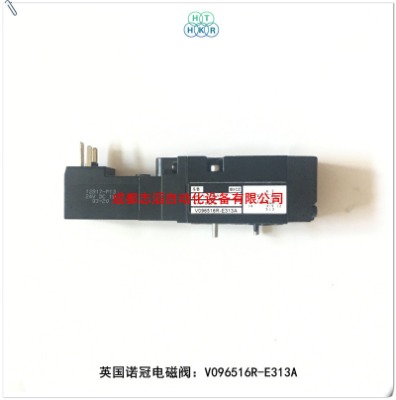 v096516r-e313aӢZ늴ynorgren
