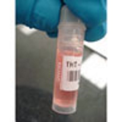 b-461 ؐϘ(bio)