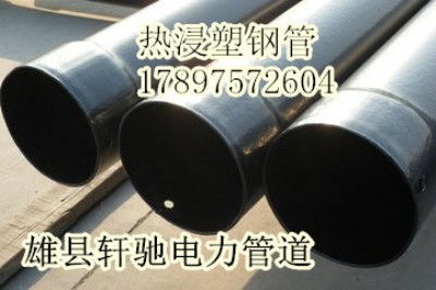 П䓹܇(bio)܏S*165Ź܃r