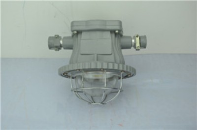 dgs28/127lVled