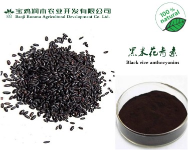 ȡﻨ25W(bio)