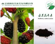 ɣȡﻨؚW(bio)25