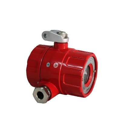 gw100ir2pλ̽y(c)S