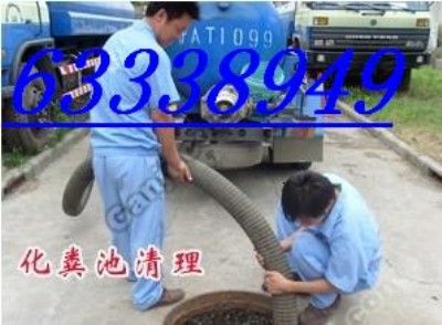 ƽ^(q)S63338949