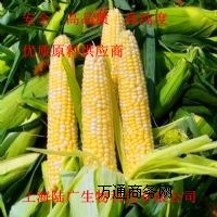 ձĠI(yng)B(yng)턩