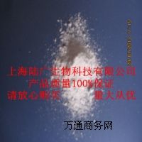 L-춬L-춬IB(yng)턩
