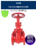 FIG.073UlyRING|-FMJ(rn)Cly