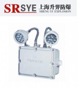 dz53-j2x1.5ϵзp^(yng)