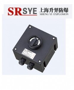 bzz8050ϵзDQ_P