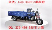 Ħ܇ q1̫200-2.55_T̿ ݆Ħ