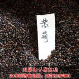쳿GNӃr(D)