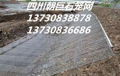 Ѵʯ\W(wng)ʯ\W(wng)Sҡʯ\W(wng)eW(wng)ʯ\W(wng)