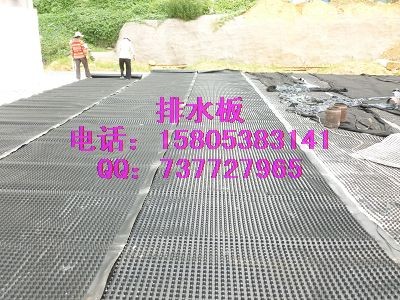 ˮ尲ˮS