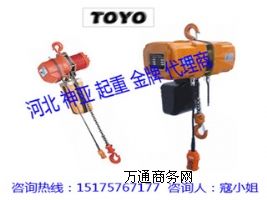HHB系列進(jìn)口TOYO環(huán)鏈電動葫蘆
