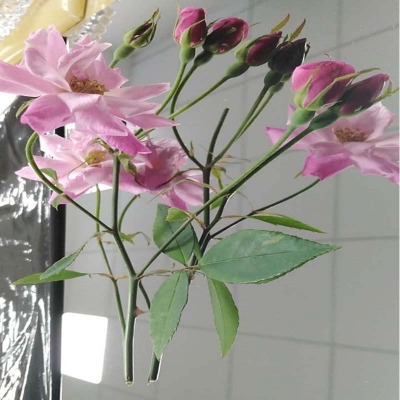 12kR治P䓎