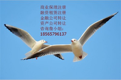 עǰ羳̹˾ЩҪ䰸