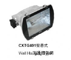 一體化三防投光燈CXTG401